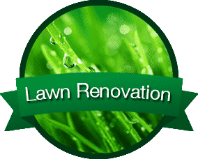 Zionsville Lawn Repair