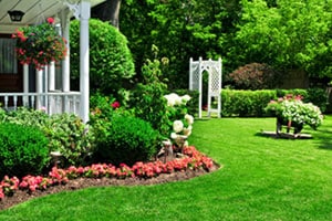 Indianapolis Lawn Care