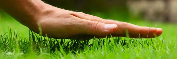 Indianapolis Lawn Fertilizer Services