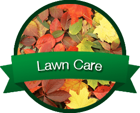 Lawn Care Carmel