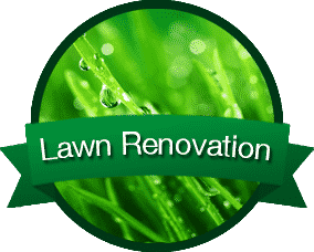 Westfield Lawn Care Service