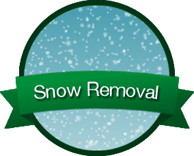 Zionsville Snow Removal