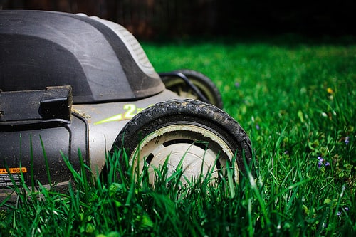 Indianapolis lawn services