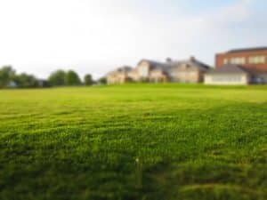 Best Lawn Repair Services in Carmel