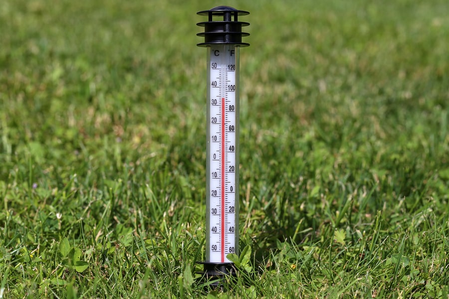 Caring for Your Lawn in Extreme Summer Heat