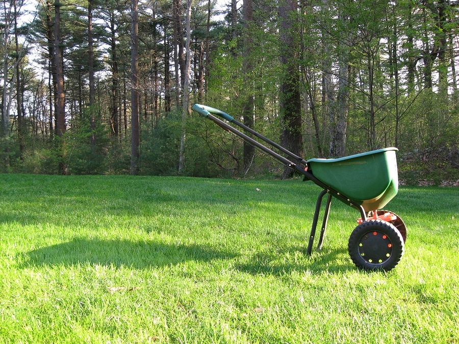 Benefits of Lawn Fertilization