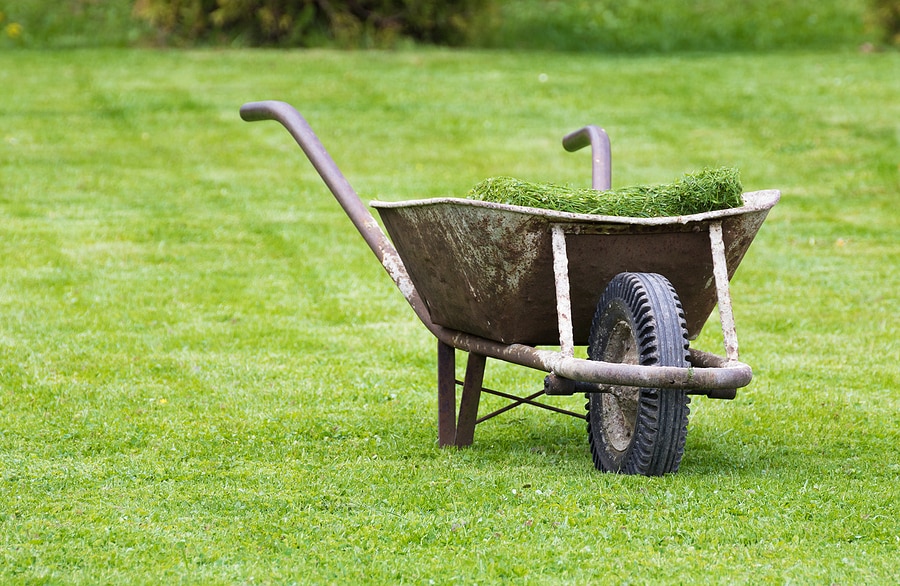 Should I Bag My Grass Clippings?