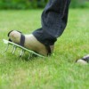 Lawn Care Myths