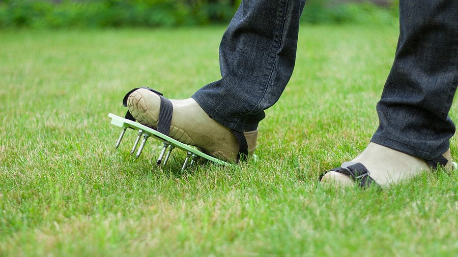 Lawn Care Myths