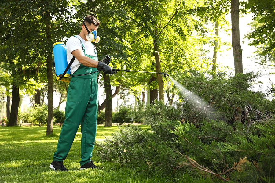 Green Works Pest Control