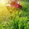 3 Spring Lawn Care Tips