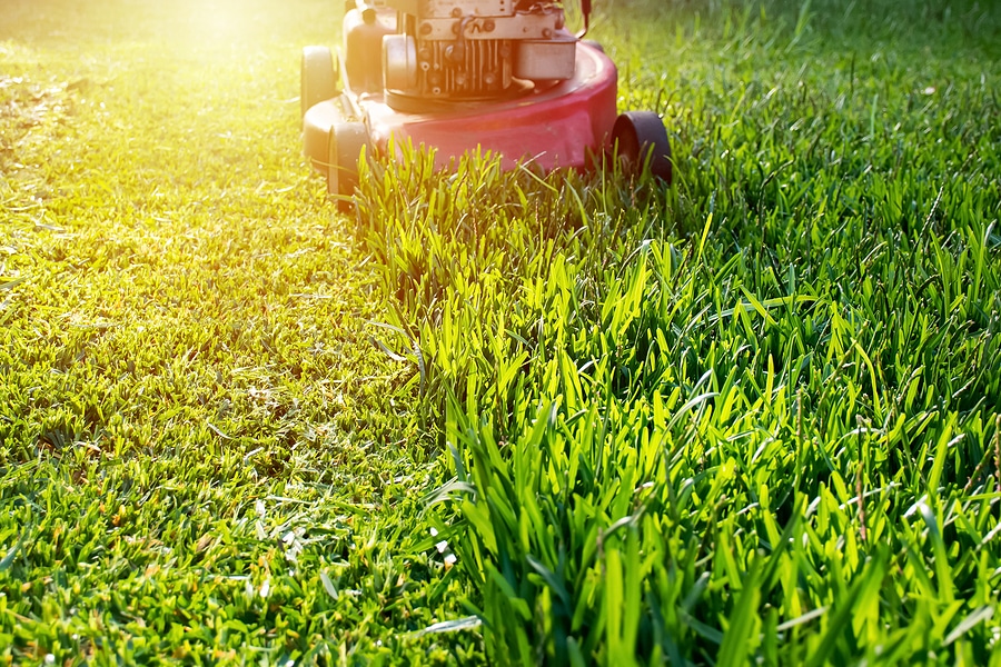 3 Spring Lawn Care Tips
