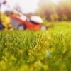 Why Hire Professional Lawn Care