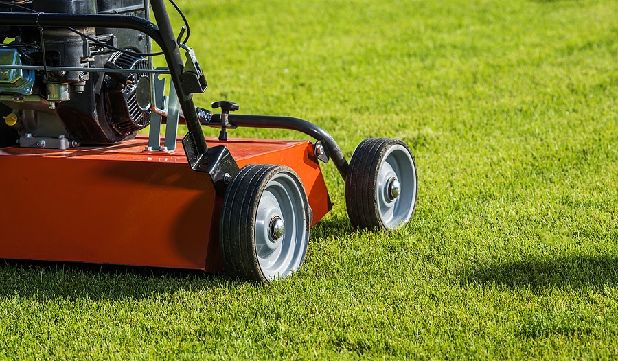 4 Tips for Lawn Aeration