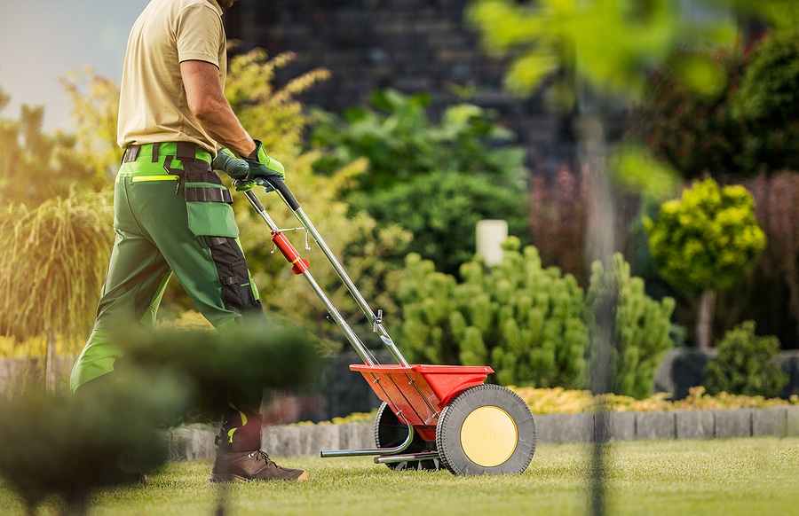 Top 5 Benefits of Using Lawn Fertilizer