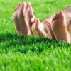 Greenworks: Your Go-To for Healthy Lawn Care