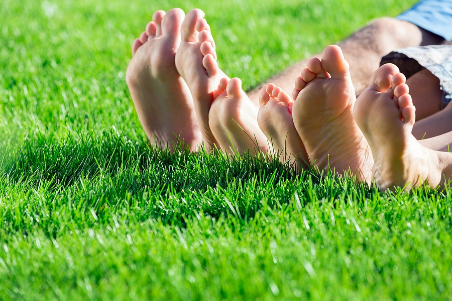 Green Works: Your Go-To for Healthy Lawn Care