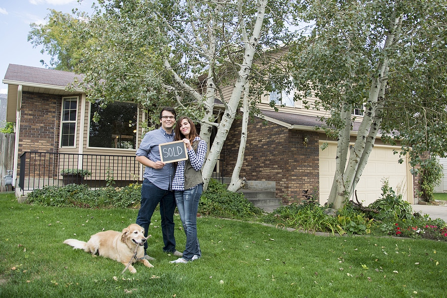 Lawn Care for New Homeowners: A Beginner’s Guide