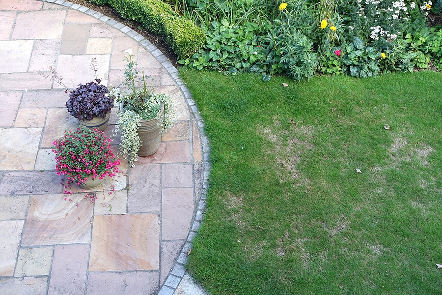 Lawn Renovation and Repair: Revitalize Your Yard with Green Works