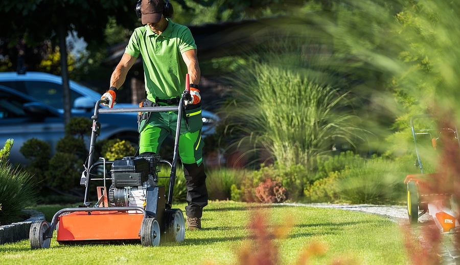 Signs Your Lawn Needs Help This Spring